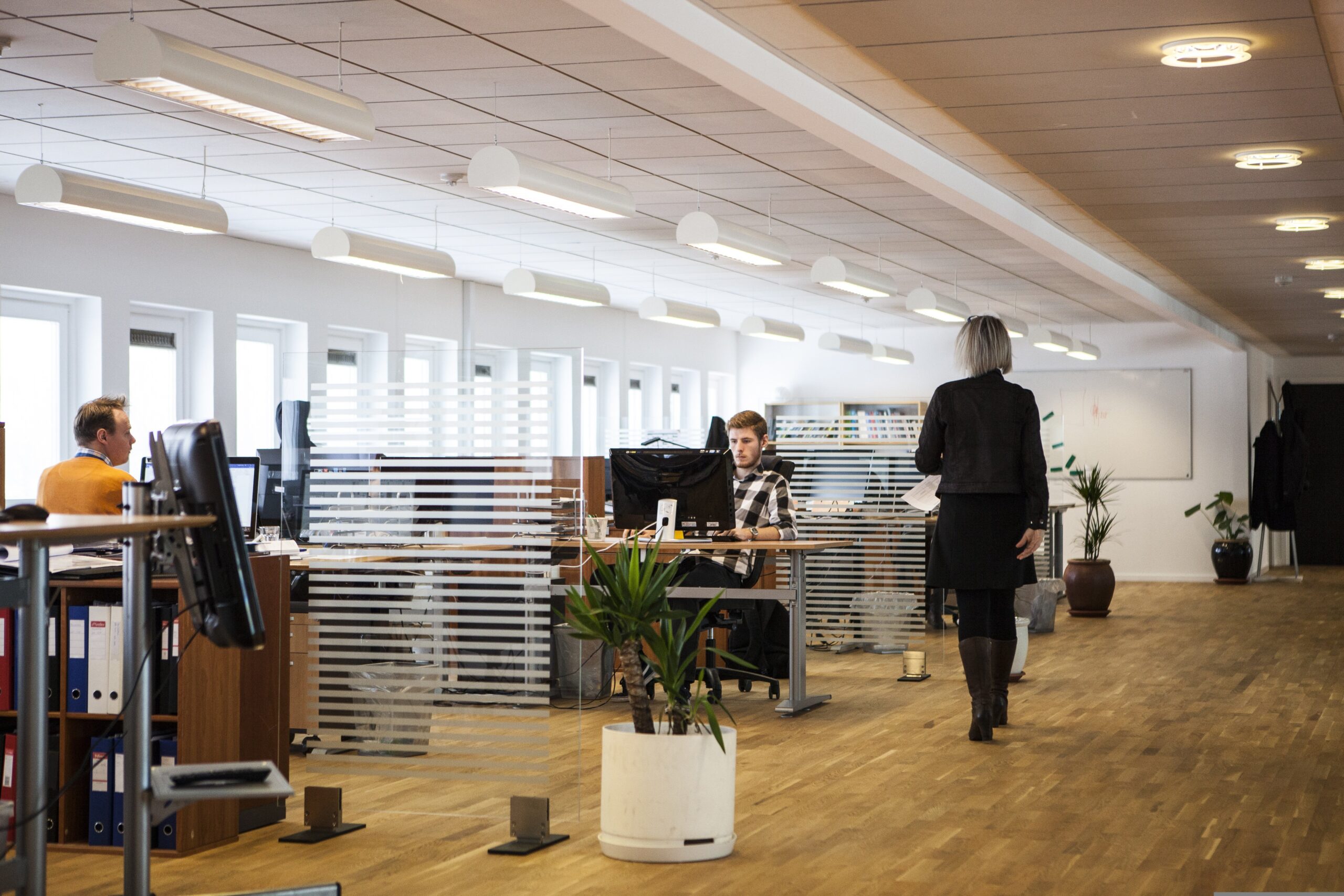 louisehoffmann83 office 2360063